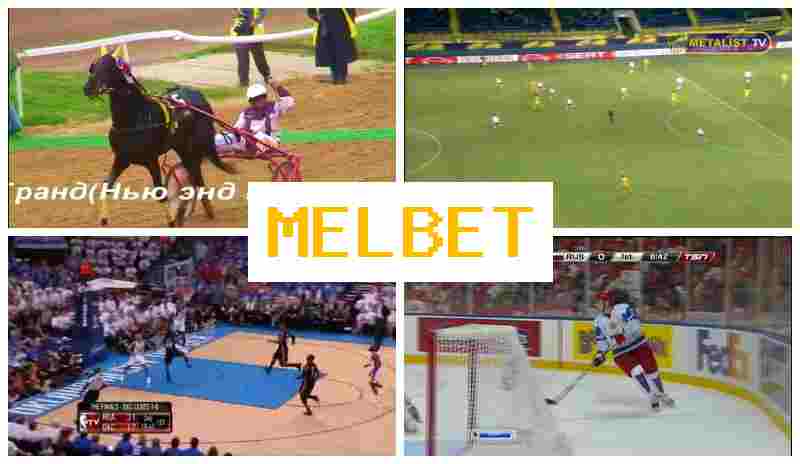 MSLBET 🔶 Online Betting Company, Create Account, Enter, Place Sports Bets