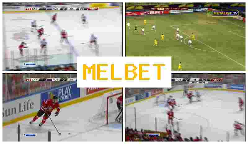 MELBRT π· Bookmaker Company MELBRT π· Bookmaker Company