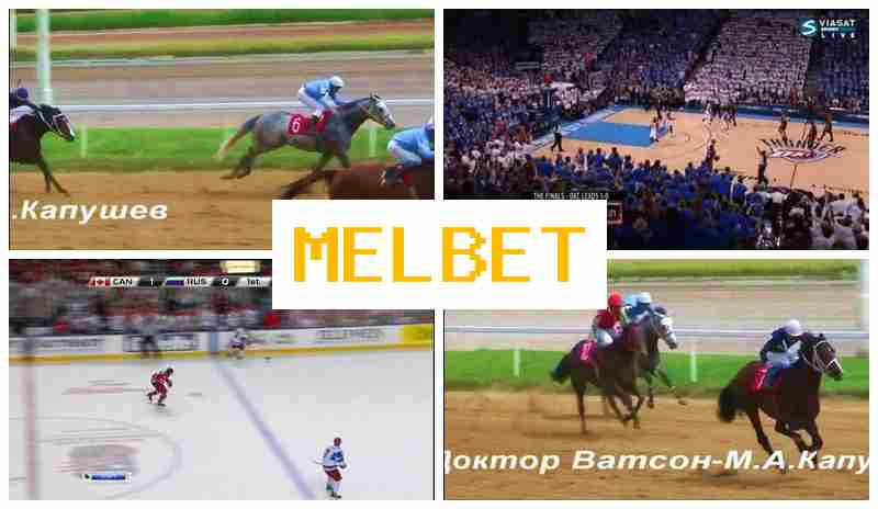 WWWMEL-BETCOM π· Bookmaker Platform, Online WWWMEL-BETCOM π· Bookmaker Platform, Online