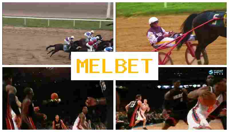 MEL BT 🔵 Betting Platform, Official Site, Promotions and Bonuses, Registration MEL BT 🔵 Betting Platform, Official Site, Promotions and Bonuses, Registration