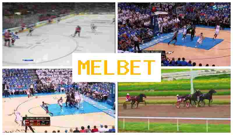MEL BTE 🔹 Bookmaker Company MEL BTE 🔹 Bookmaker Company
