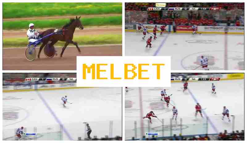 MEL NET ✔️ Sports Betting, Online with Best Odds