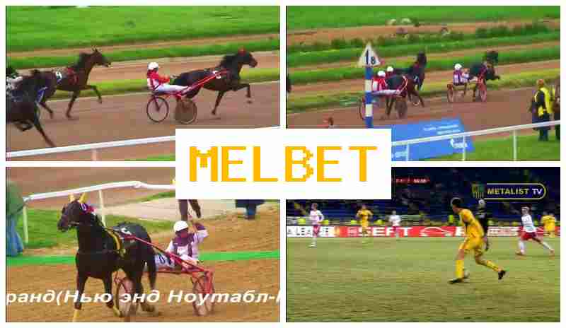 MEL BE5 💰 Bookmaker Company, Online MEL BE5 💰 Bookmaker Company, Online