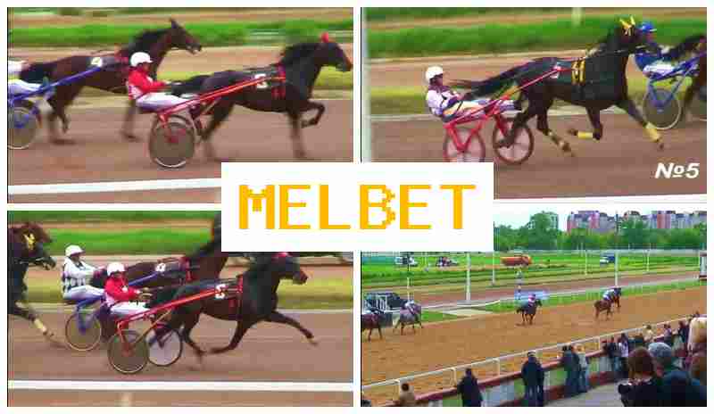 MELBTE 🔹 Sports Betting, Bonuses and Free Bets, Official Bookmaker Site MELBTE 🔹 Sports Betting, Bonuses and Free Bets, Official Bookmaker Site