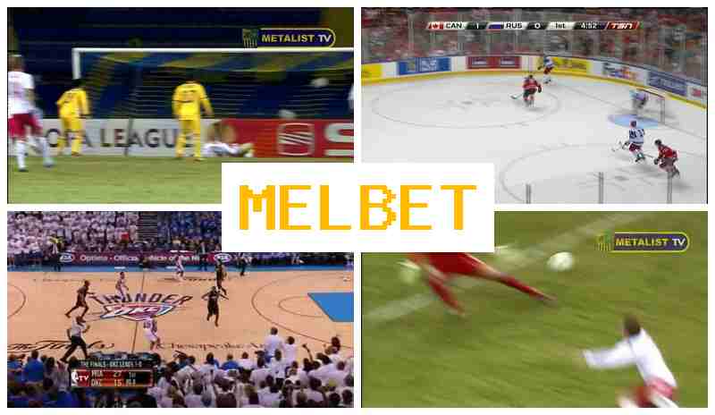 MELVET 💴 Betting Platform, Official Platform