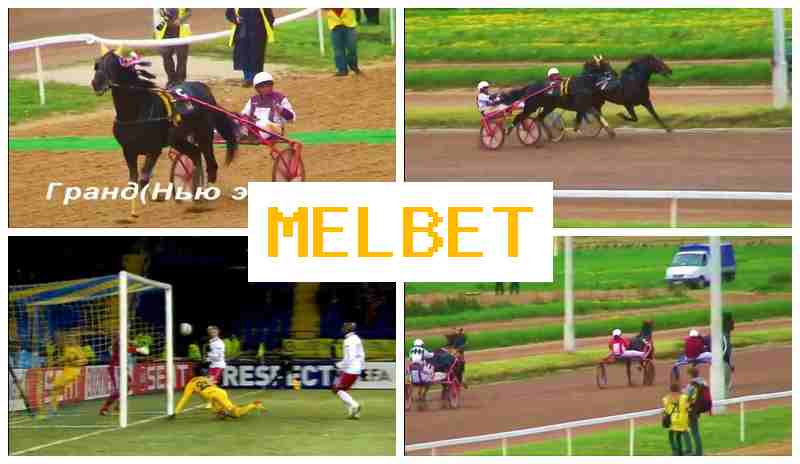 MELBE6 💲 Betting on Sporting Events MELBE6 💲 Betting on Sporting Events