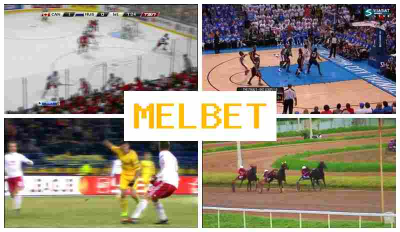 EL BET 💸 Live Sports Bets, New Player Bonus EL BET 💸 Live Sports Bets, New Player Bonus