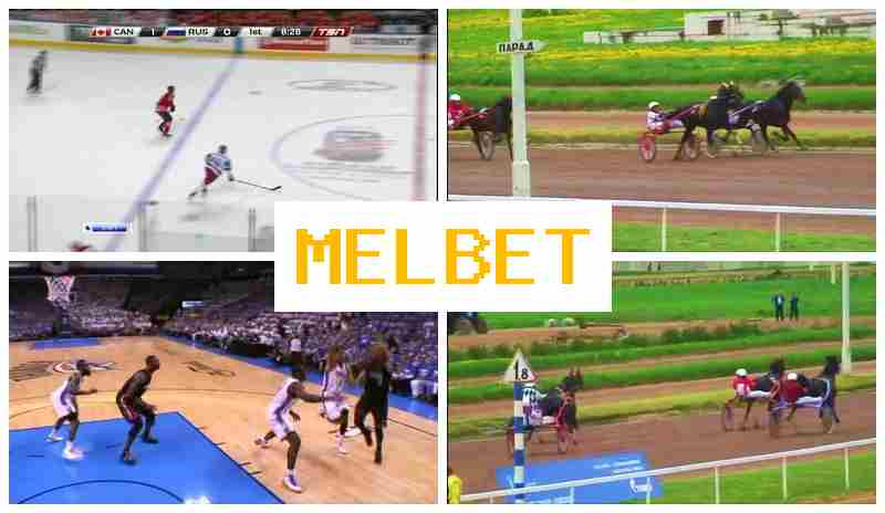 MELL BET 💴 Betting on Sports Events, Special Offers and Rewards, Official Site MELL BET 💴 Betting on Sports Events, Special Offers and Rewards, Official Site