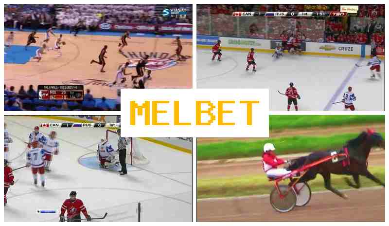 MSL BET 🔸 Sportsbook Bets, Authorized Sportsbook Site MSL BET 🔸 Sportsbook Bets, Authorized Sportsbook Site