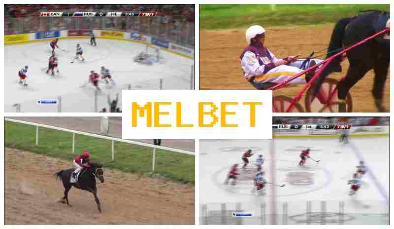 MEOBET 👍 Sportsbook MEOBET 👍 Sportsbook