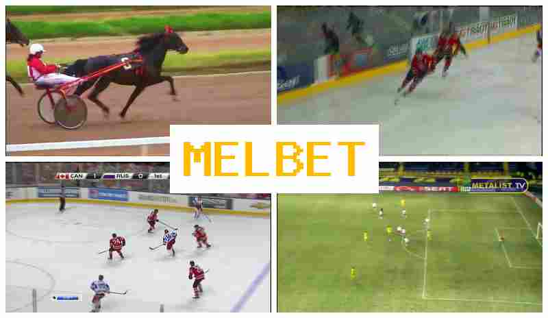 MELVET 🆓 Bookmaker Company, Welcome Bonus, Official Website