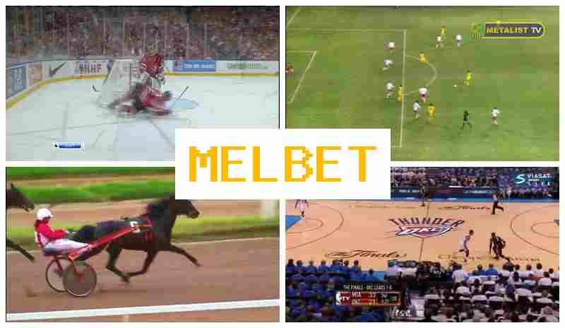 MELNET 🆓 Betting Company, Access Official Platform, Register, Wager on Sporting Events