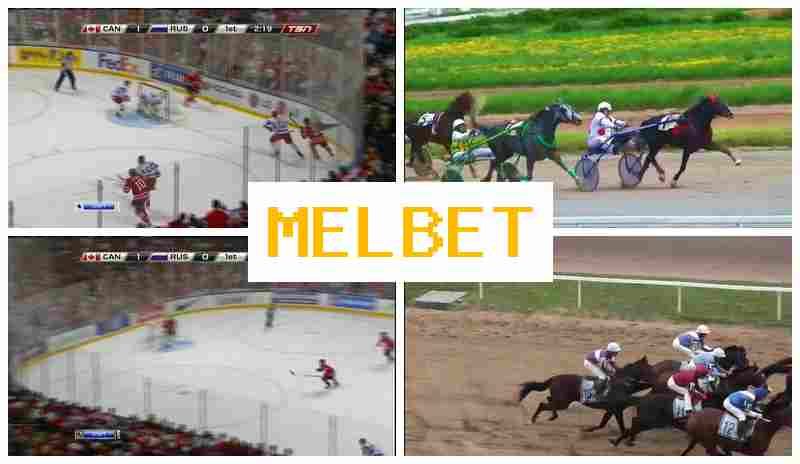 MELBRT ▓ Place Bets on Sports, Promotions and Bonuses, Official Bookmaker Site