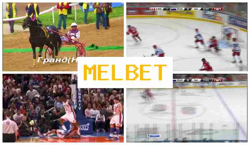 ML BET 🔔 Sportsbook Bets, Internet Betting, Bonus Offers, Official Bookmaker Site