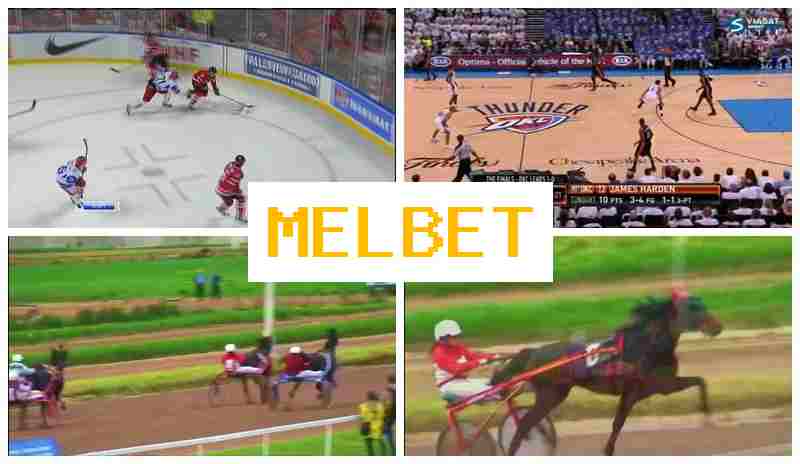 ME BET ☑️ Online Sports Bets, Virtual, Bonuses and Free Bets, Official Site