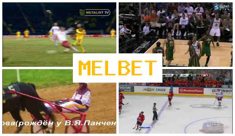MEEL BET 🎇 Authorized Bookmaker Online, Official Website, Sign Up