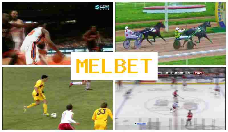 MLE BET 🔶 Bookmaker Platform MLE BET 🔶 Bookmaker Platform
