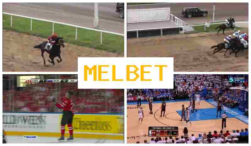 NEL BET ✔️ Betting Operator, Sign-Up Bonus, Verified Portal of the Bookmaker