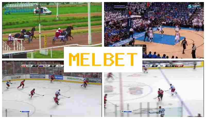 JEL BET ☑️ Live Sports Betting, Special Offers and Rewards
