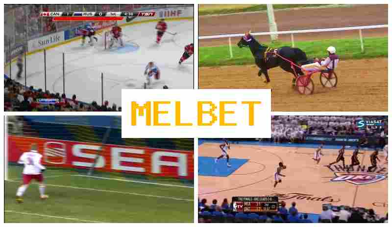 KEL BET 💰 Bookmaker Company, Verified Portal of the Bookmaker