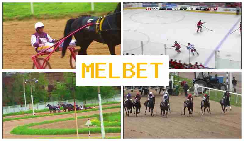 M3L BET 💲 Sportsbook, Enter Official Site, Create Account, Wager on Sporting Events