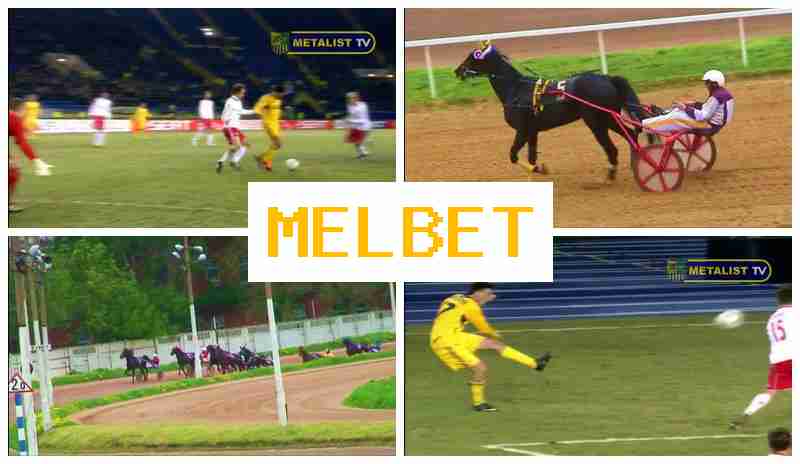 M4L BET 💴 Live Sports Betting, Free Bets and Bonuses, Official Bookmaker Platform