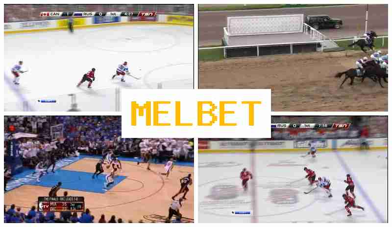 MSL BET 👍 Online Sports Wagering, Digital Sports Betting offering High Odds