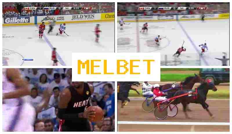 MEO BET 🌟 Betting Office, Online, First Deposit Bonus, Official Bookmaker Website