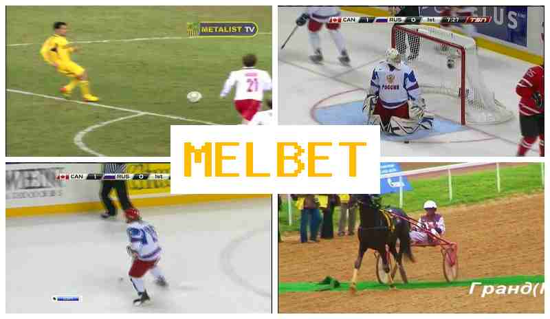 NELBET 🌐 Online Bookmaker, Welcome Bonus, Sports Betting