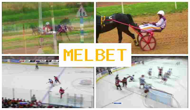 JELBET ⚡ Trusted Betting Company, Official Website, Sign Up