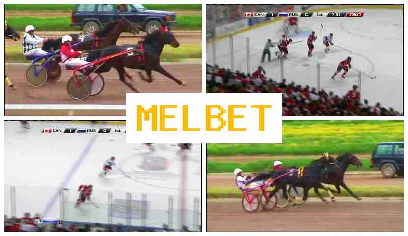 ,ELBET 💲 Sportsbook Online, Access Official Platform, Register, Wager on Sporting Events