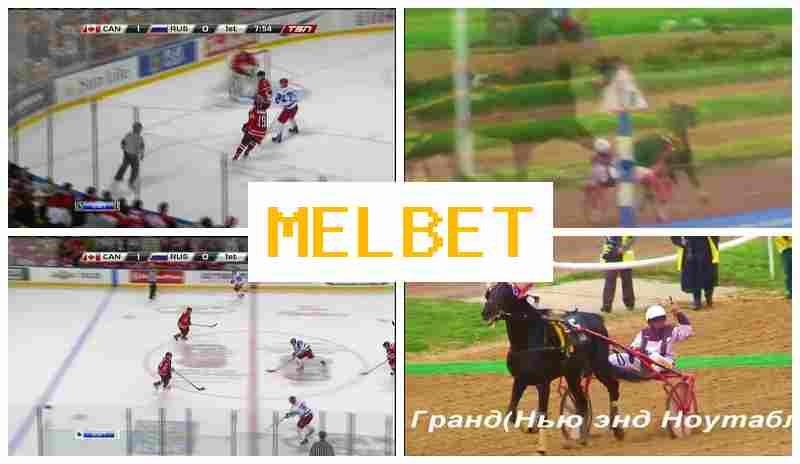 MEOBET ▒ Betting Firm, Registration Bonus, Official Site of the Betting Company