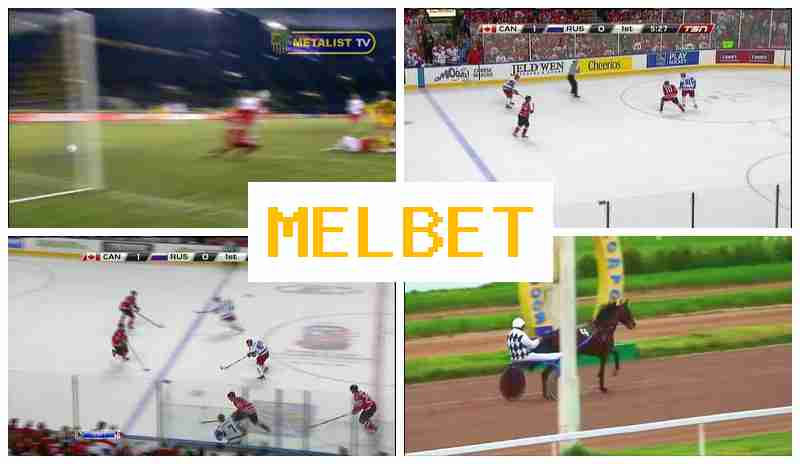 MELBER ▓ Wager on Sporting Events, Virtual with Attractive Odds