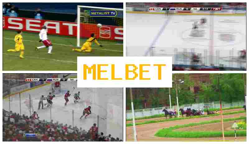 MELL BET 💰 Sports Betting, Welcome Bonus