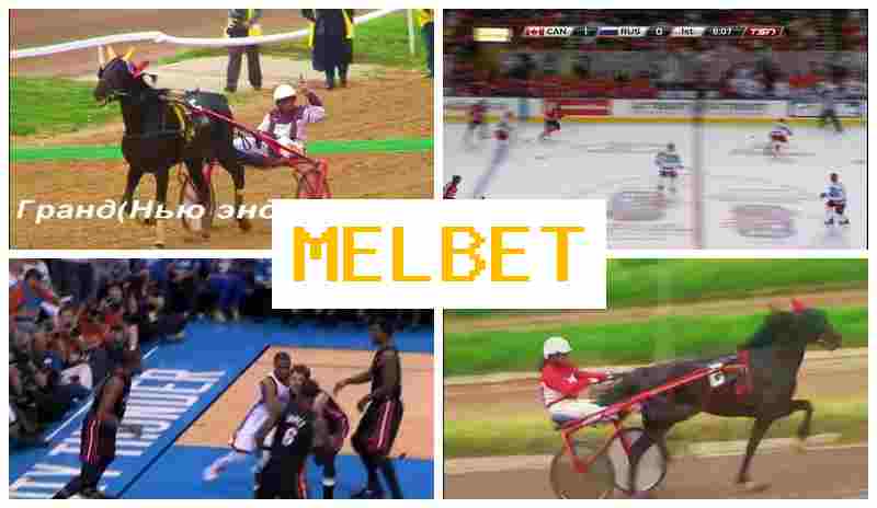MEL  BET 🏀 Digital Betting Platform, Sign-Up Bonus, Live Event Betting