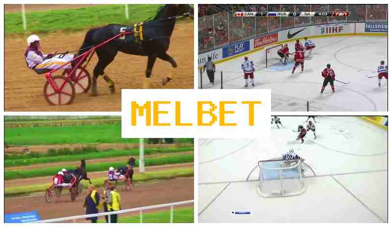 MEL EBT ▒ Bet on Sports, Promotions and Bonuses, Verified Site MEL EBT ▒ Bet on Sports, Promotions and Bonuses, Verified Site