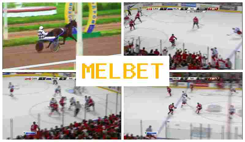 M4L BET ▒ Sportsbook, Online, Official Website