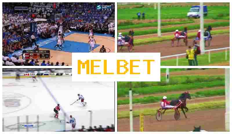 MDL BET 💷 Bookmaker Company, Online, Official Bookmaker Website