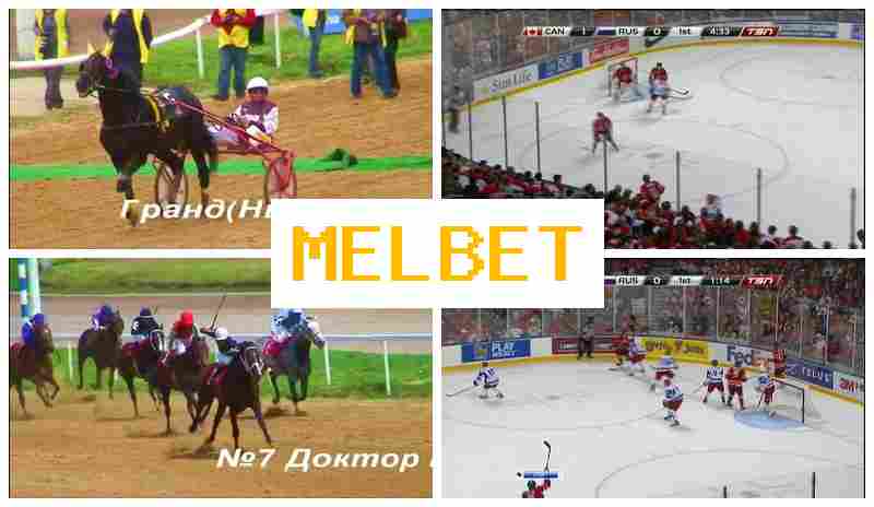 MEO BET 🎇 Bookmaker Company, Sign-Up Bonus