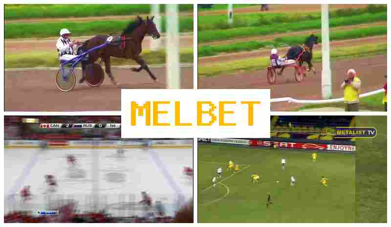 MEL VET 💸 Live Sports Bets, Registration Bonus, Official Site of the Betting Firm