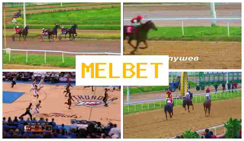 KELBET 🔵 Betting on Sports Events, Special Offers and Rewards, Official Site