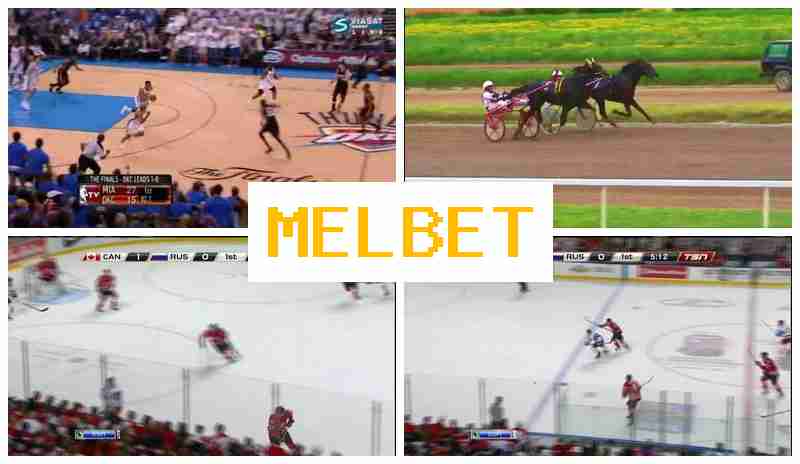 MELNET 💴 Virtual Bookmaker, New User Bonus, Bet on Sports