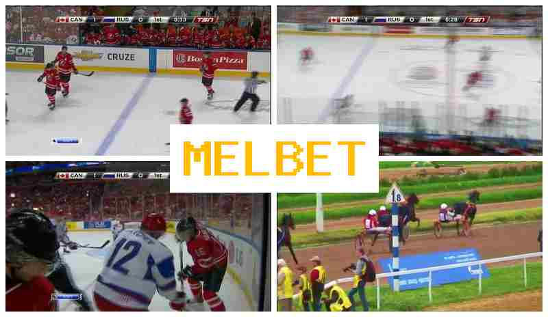 MLE BET 💯 Live Sports Bets, Internet with Best Odds