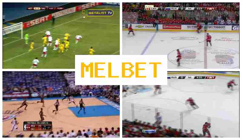 MELET 💲 Bookmaker Company, Online