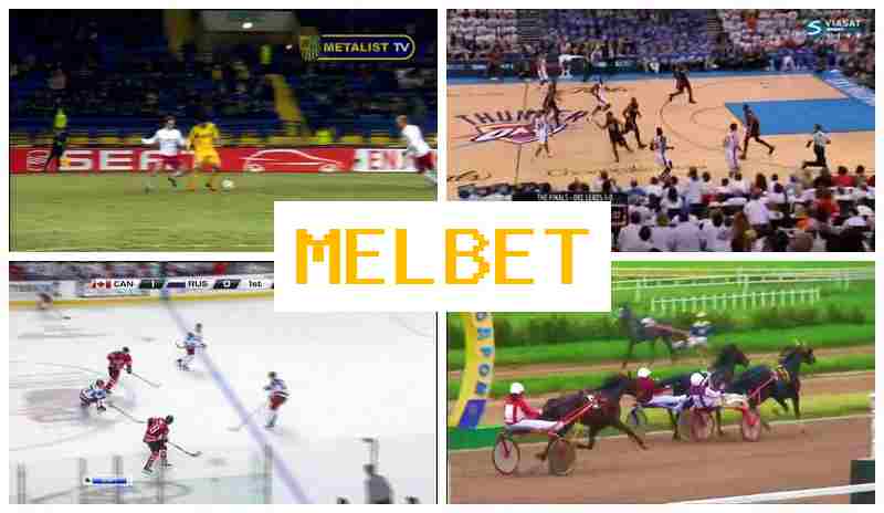 M3L BET ⚾ Online Bookmaker