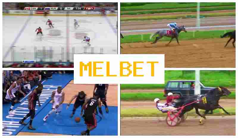 MEL B4T ▒ Authorized Bookmaker Online, Official Website, Special Offers and Rewards, Sign Up