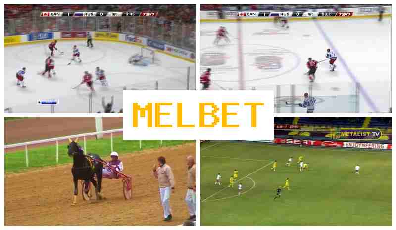 MELBT ☑️ Top Betting Company Online, Join Now, Access Official Site, Wager Online