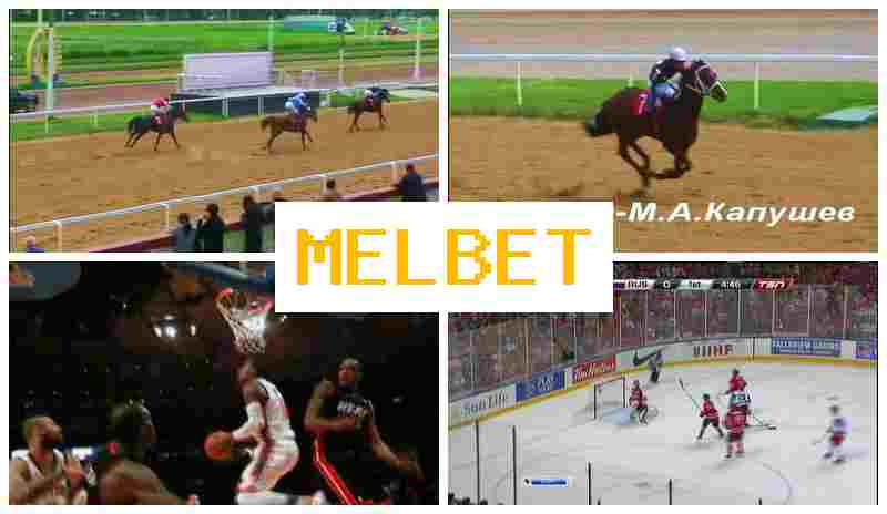 MEL BE6 ⚾ Place Bets on Sports, Promotions and Bonuses, Official Website
