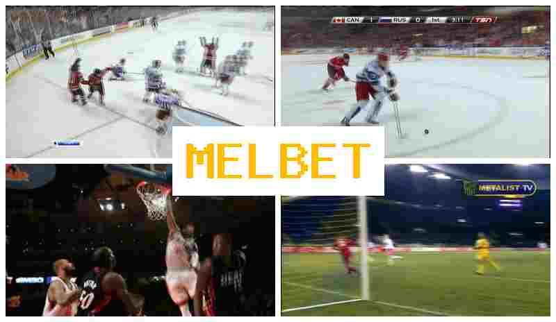 ,ELBET 🔹 Sportsbook Company, Official Site, Bonuses and Free Bets, Registration