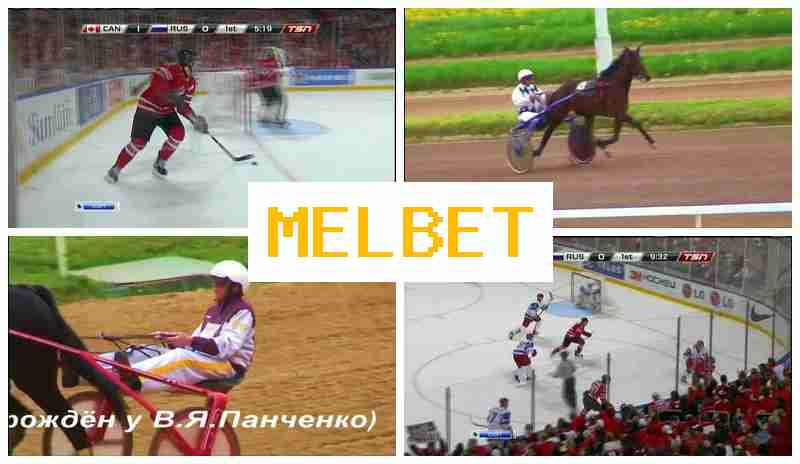 MSLBET 🌐 Betting Company, Access Official Platform, Sign Up, Wager on Sporting Events MSLBET 🌐 Betting Company, Access Official Platform, Sign Up, Wager on Sporting Events